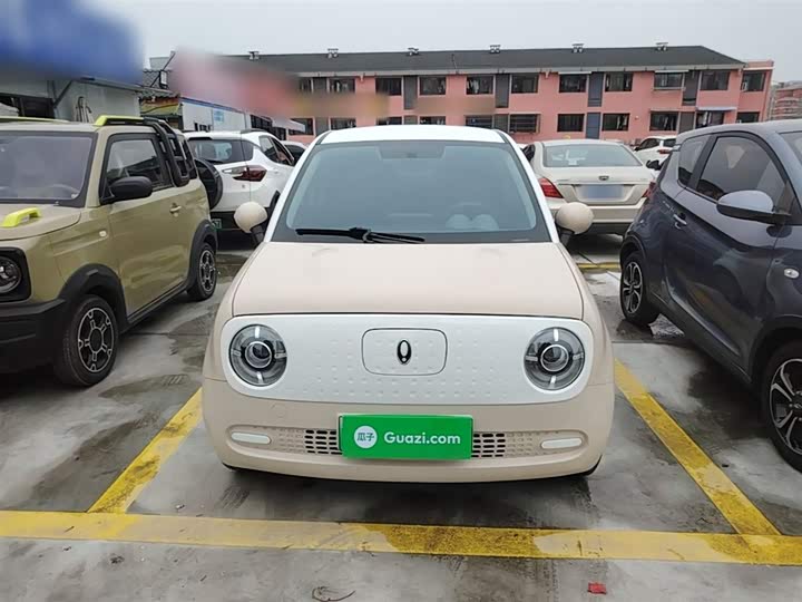 Ora Black Cat 2022 2022款 301km 萌动型 磷酸铁锂