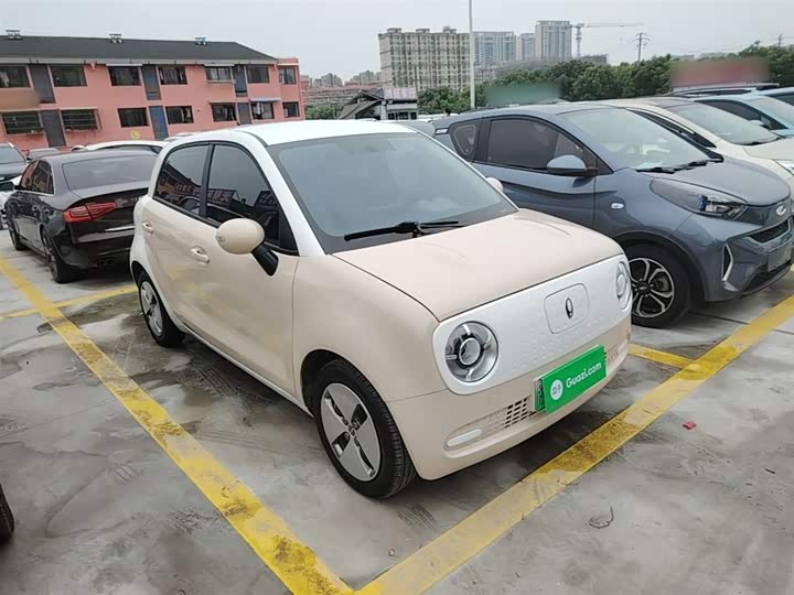 Ora Black Cat 2022 2022款 301km 萌动型 磷酸铁锂