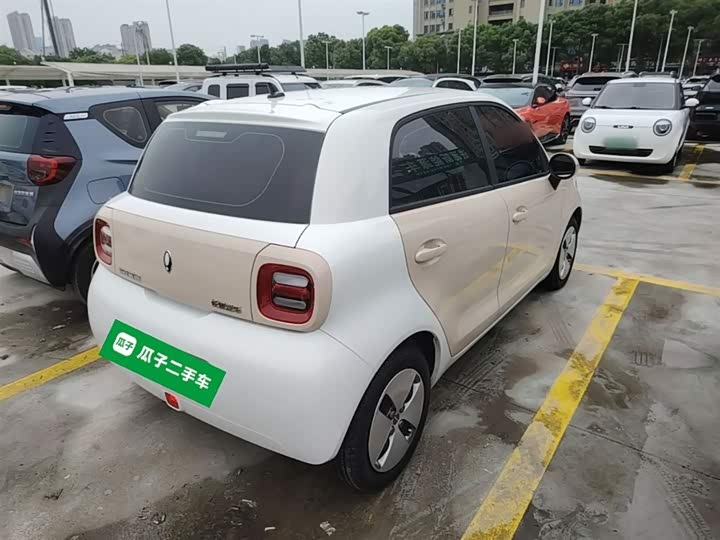 Ora Black Cat 2022 2022款 301km 萌动型 磷酸铁锂