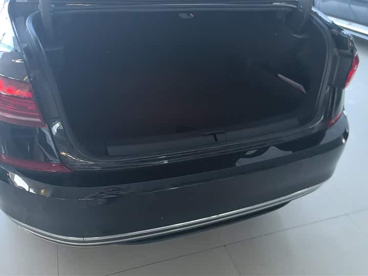 Volkswagen Passat Hybrid 2025 2025款 430PHEV 混动商务版