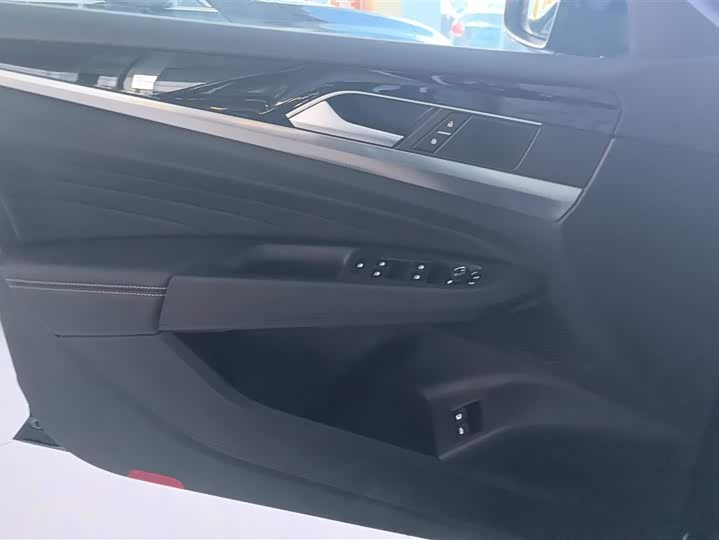 Volkswagen Passat Hybrid 2025 2025款 430PHEV 混动商务版