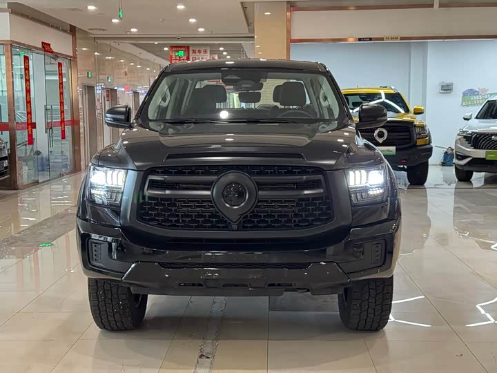 Great Wall Shanhai Poer Hybrid 2025 2025款 Hi4-T 全球版