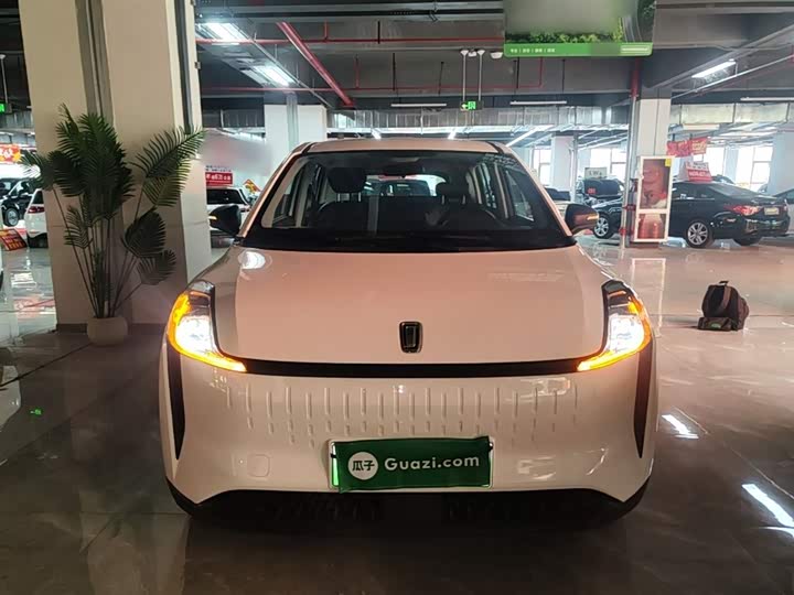 Bestune NAT 2023 2023款 PRO 舒享出行版 419km