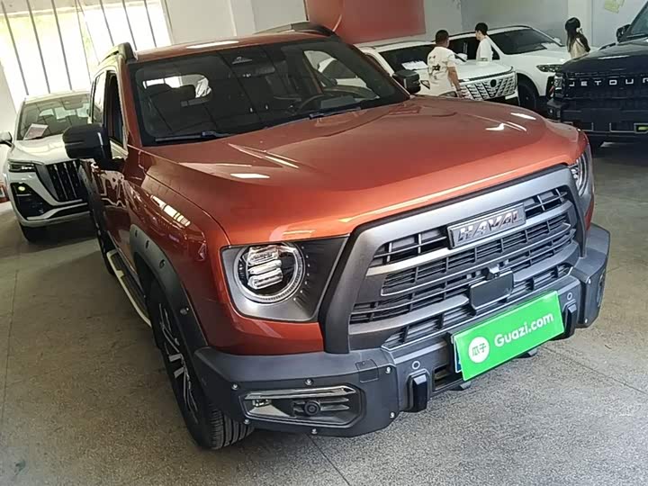 Zdjęcie 4 - Haval Dargo