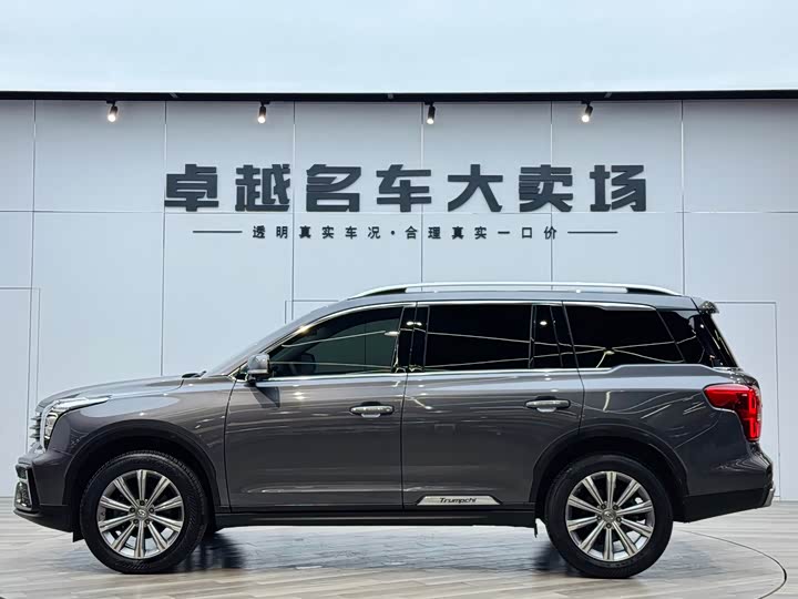 GAC Trumpchi GS8 2020 2020款 390T 两驱豪华智联纪念版（七座）