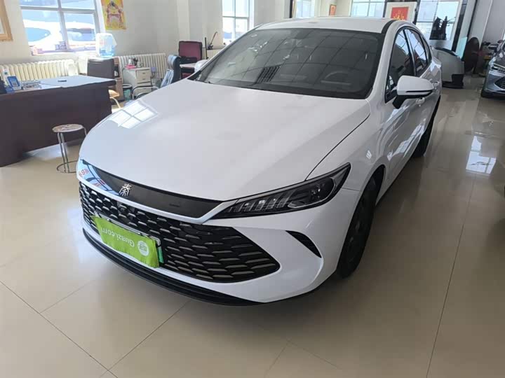 Фото 1 - BYD Qin Plus