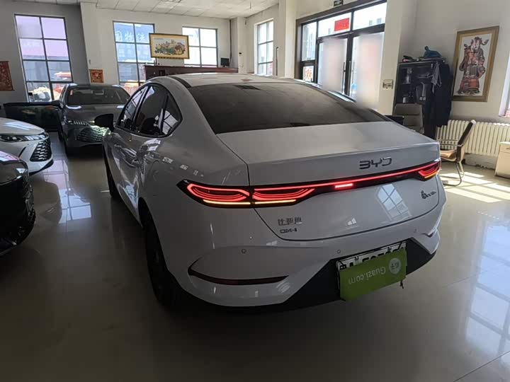 Фото 5 - BYD Qin Plus