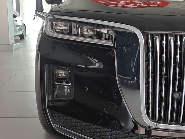 Фото 5 - Hongqi H9