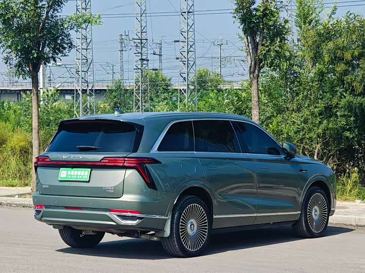 Wey Lanshan 2025 2025款 四驱 Max