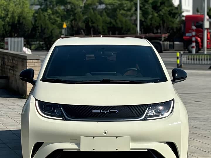 Фото 2 - BYD Dolphin