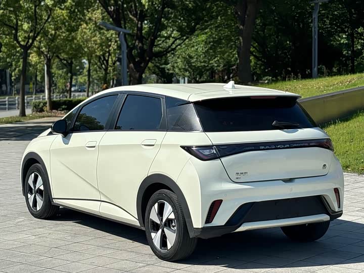 Фото 7 - BYD Dolphin