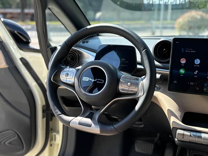 Фото 9 - BYD Dolphin
