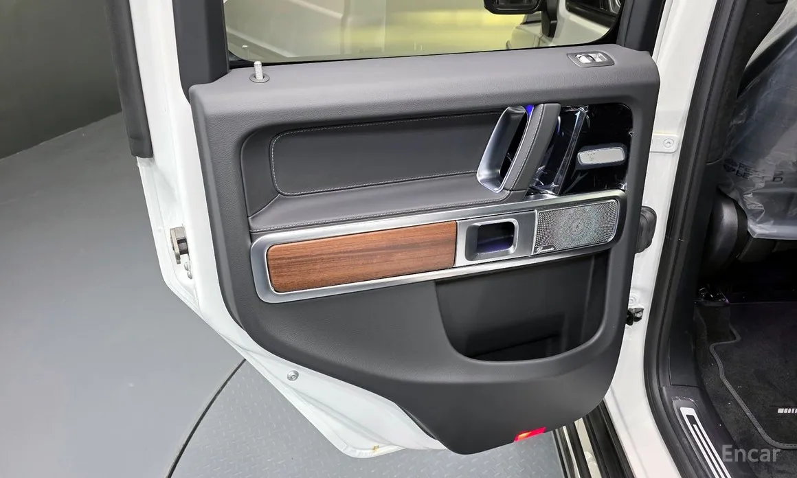 Mercedes-Benz G-Class 2024 G450d