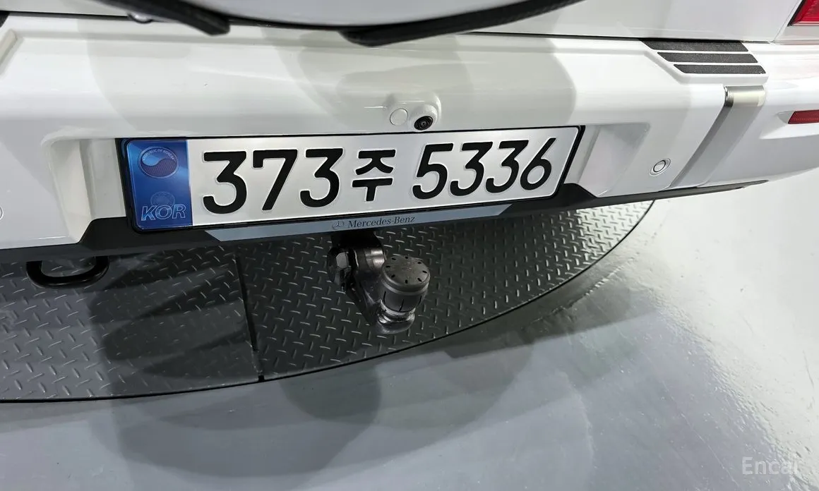 Mercedes-Benz G-Class 2024 G450d