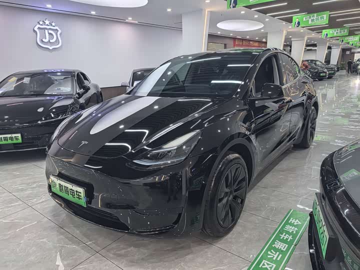 Tesla Model Y 2024 2024款 后轮驱动版