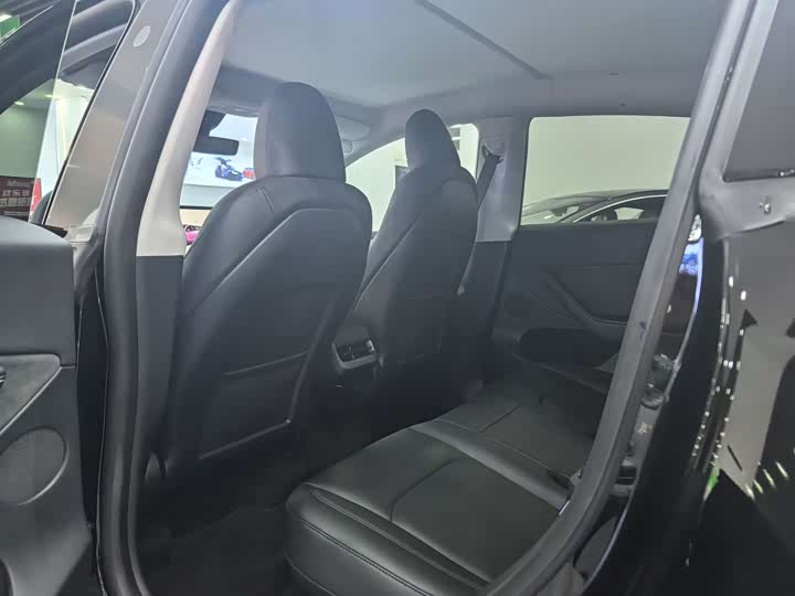 Tesla Model Y 2024 2024款 后轮驱动版