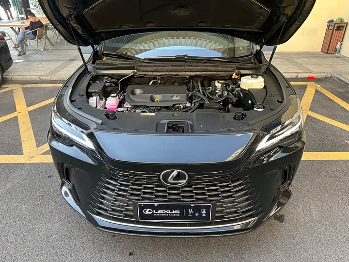 Lexus RX 2025 2025款 350h 两驱舒享版
