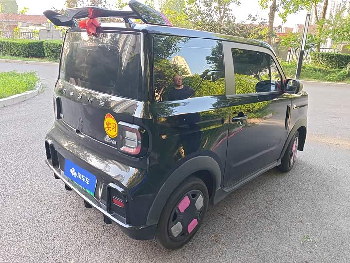 2025 Geely Galaxy Panda Mini