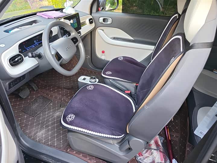 Geely Galaxy Panda Mini 2025 2025款 210km 熊猫卡丁