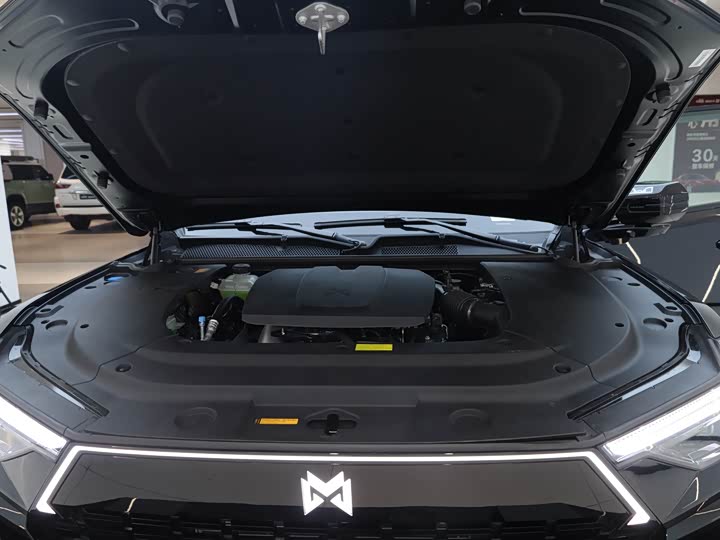 Dongfeng Mengshi M18-3 2025 2025款 Max