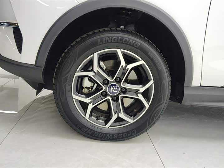 BYD Yuan Pro 2023 2023款 401KM豪华型