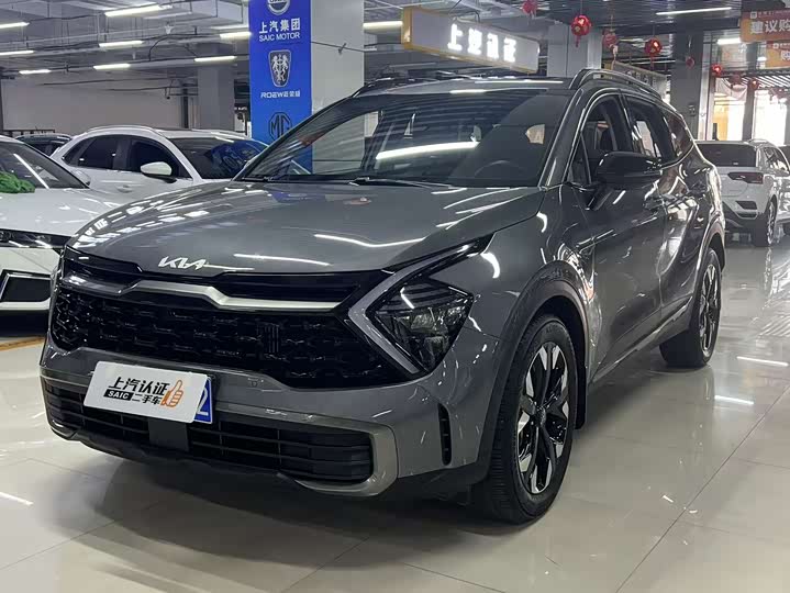 Kia Sportage 2023 2023款 2.0T 两驱尊贵版