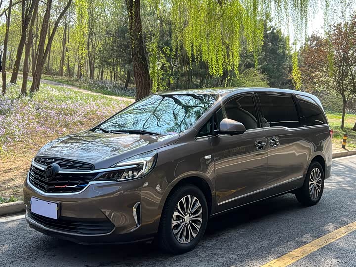 Фото 1 - Buick GL8 ES