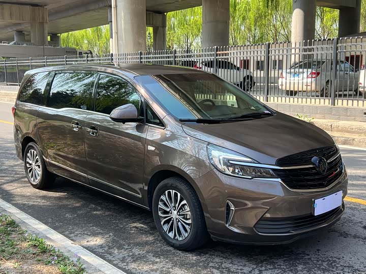 Фото 3 - Buick GL8 ES