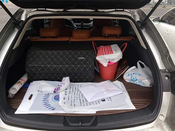 Lexus UX 2020 2020款 260h 探·酷版