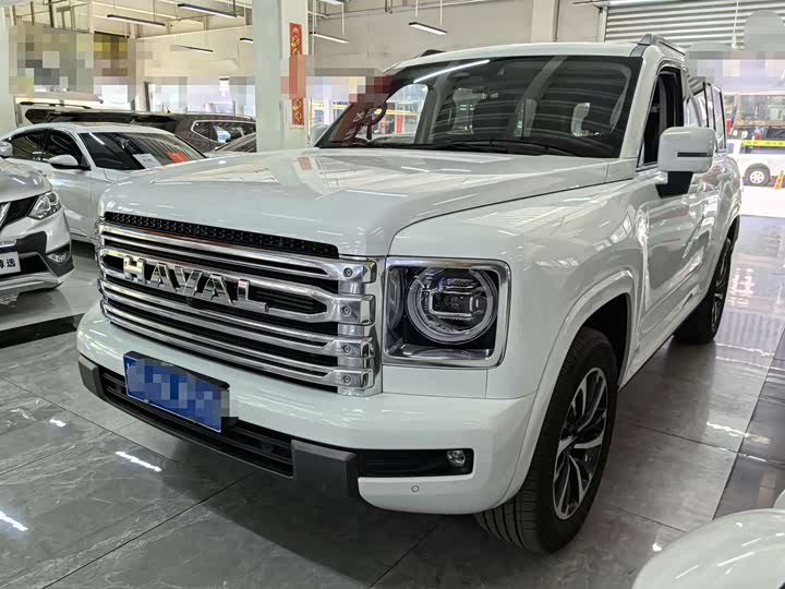 Haval H9 2024 2024款 2.0T 汽油四驱极境版