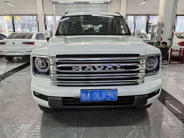 Haval H9 2024 2024款 2.0T 汽油四驱极境版