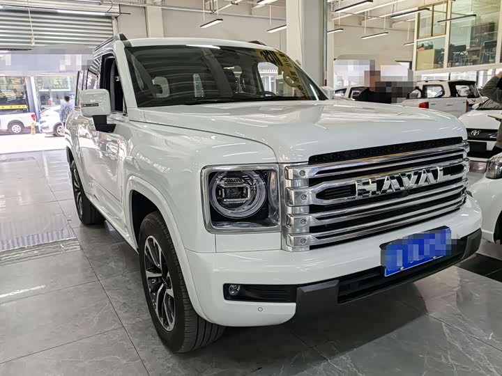 Haval H9 2024 2024款 2.0T 汽油四驱极境版