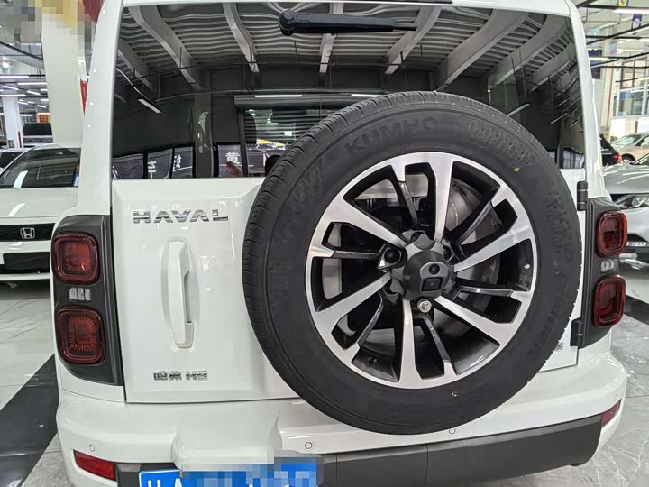 Haval H9 2024 2024款 2.0T 汽油四驱极境版
