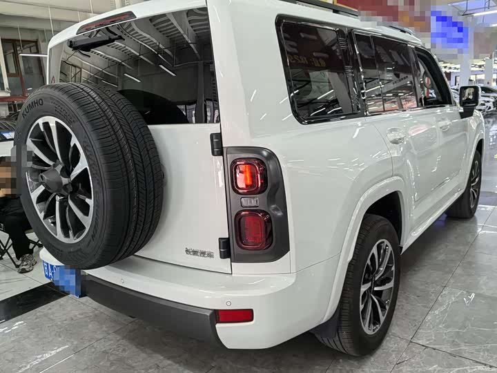Haval H9 2024 2024款 2.0T 汽油四驱极境版