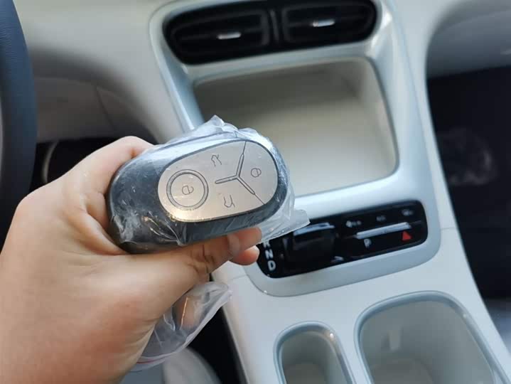 Geely Galaxy Geome 2026 2026款 310km 青春版