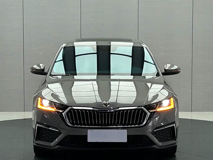 Фото 2 - Skoda Octavia Pro