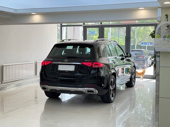 Фото 6 - Mercedes-Benz GLE-Class Hybrid