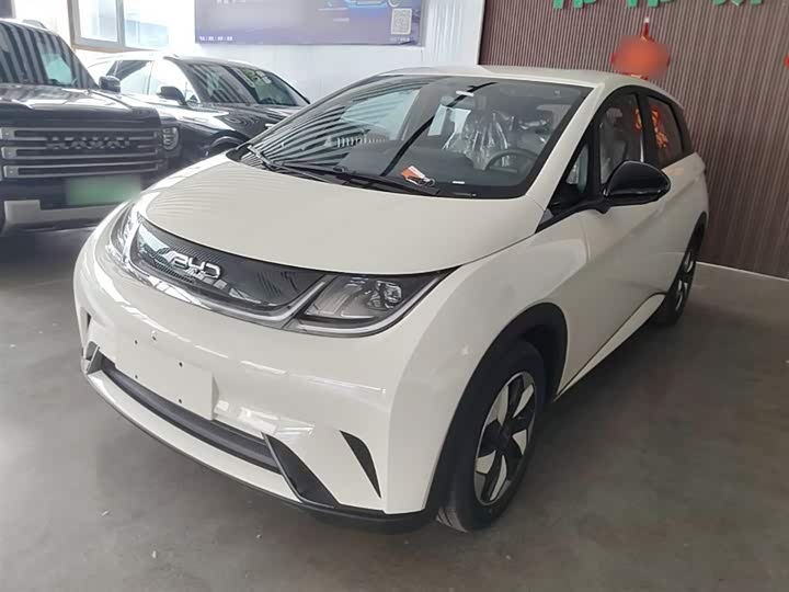 BYD Dolphin 2025 2025款 420km 自由版