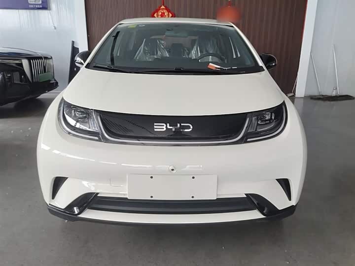 BYD Dolphin 2025 2025款 420km 自由版