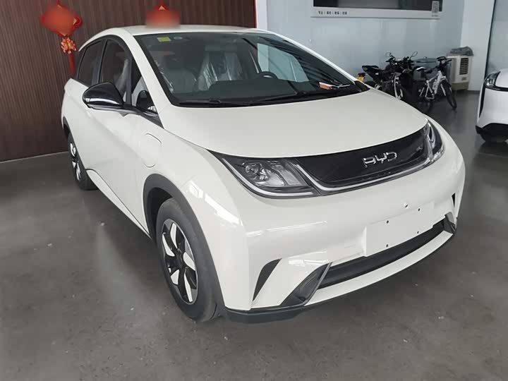 BYD Dolphin 2025 2025款 420km 自由版