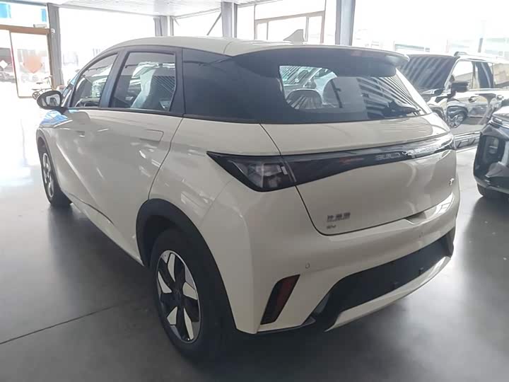 BYD Dolphin 2025 2025款 420km 自由版