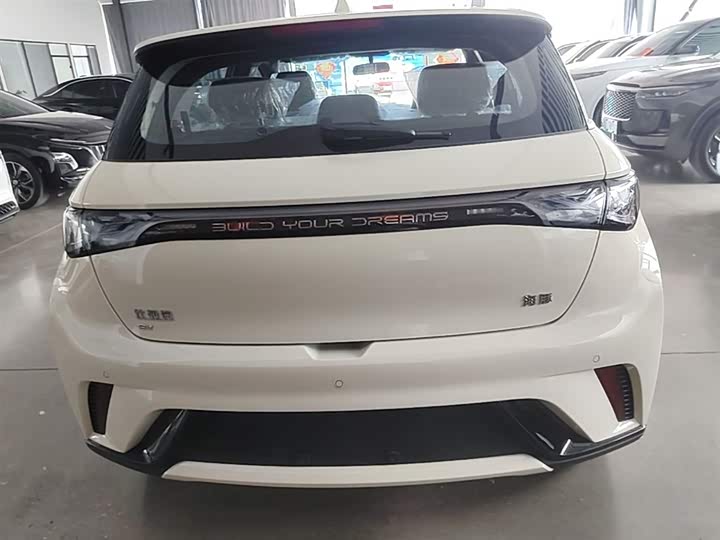 BYD Dolphin 2025 2025款 420km 自由版