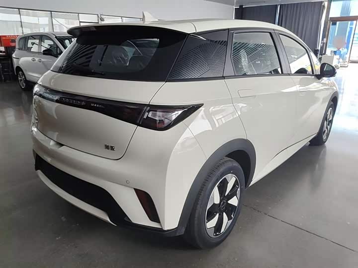BYD Dolphin 2025 2025款 420km 自由版
