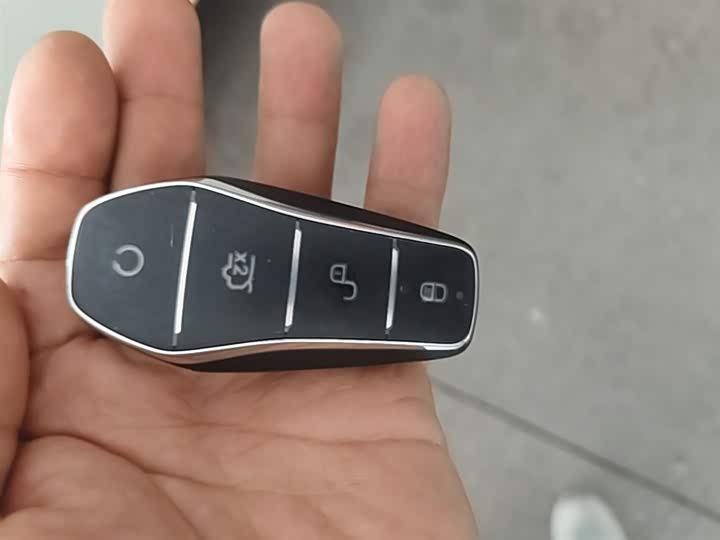 BYD Dolphin 2025 2025款 420km 自由版
