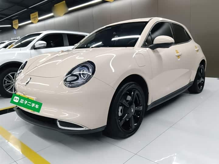 Ora Good Cat (03) 2024 2024款 401km 豪华型