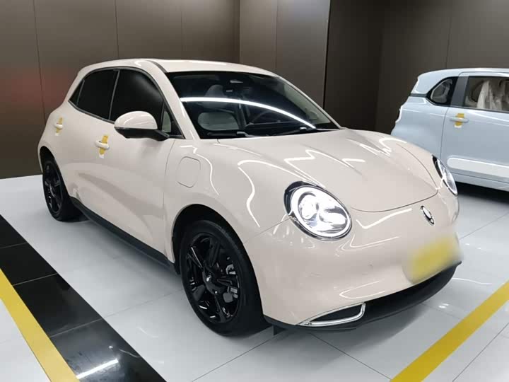 Ora Good Cat (03) 2024 2024款 401km 豪华型