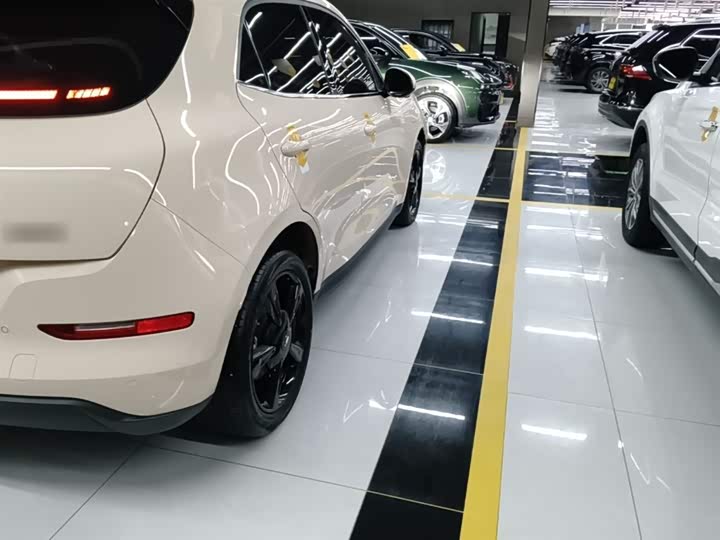 Ora Good Cat (03) 2024 2024款 401km 豪华型
