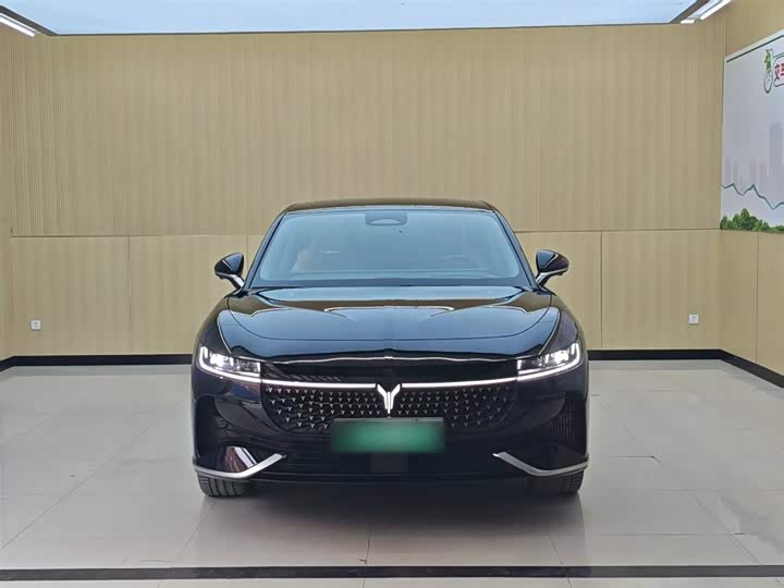 Voyah Passion 2024 2024款 PHEV 四驱超长续航旗舰版