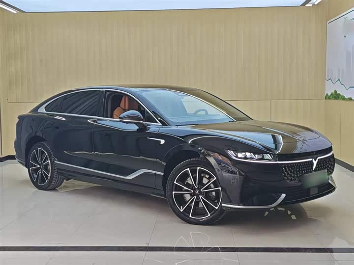 Voyah Passion 2024 2024款 PHEV 四驱超长续航旗舰版