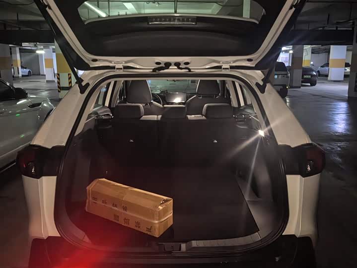 Toyota RAV4 2024 2024款 2.0L CVT两驱都市版